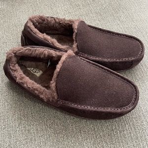 NWOT UGG Ascot Slippers Mens 10 Brown Suede Wool